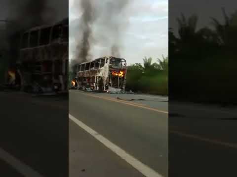 Ônibus pega fogo e fica completamente destruído na BR-316 no MA