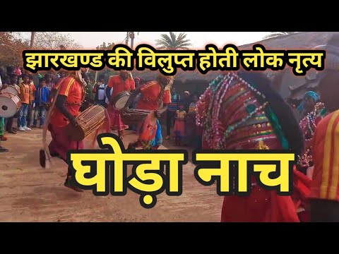  Jharkhands extinct folk dance Ghoda Naach  Horse Dance  Nazir K Video