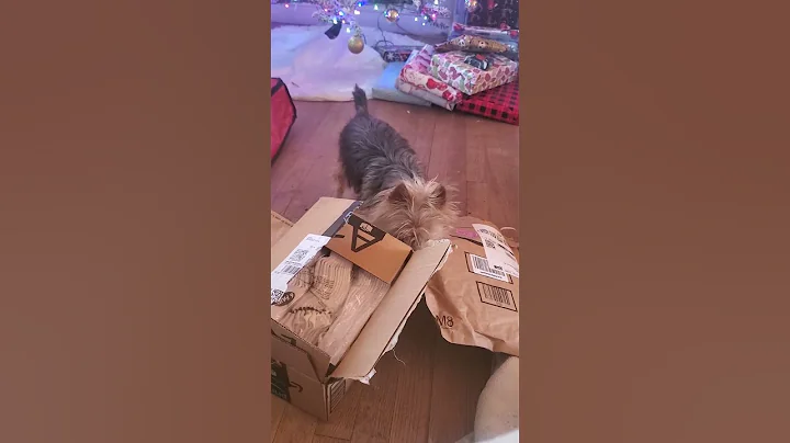 milo says get that stuff outta my way