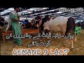 AL REHMAN CATTLE | VIP CATTLE WITH PRICES | SOHRAB GOTH MANDI 2020