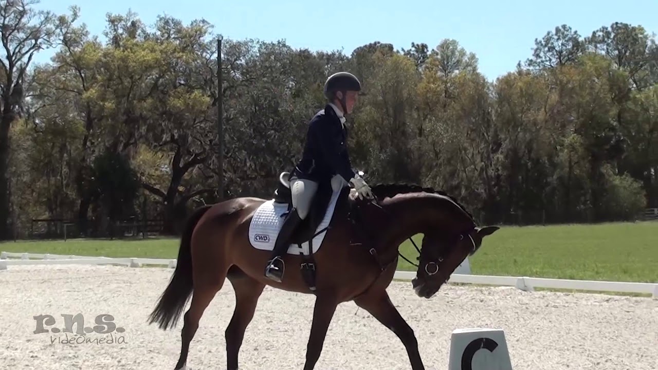 Dani Sussman & Bellissima at Rocking Horse Winter III Horse Trials 2018 YouTube