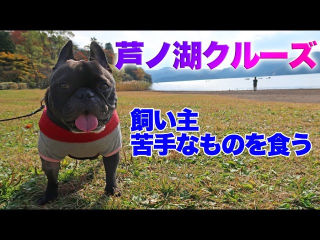 犬も一緒に芦ノ湖クルーズ お土産の最高級かまぼこ1500円を練り物苦手な飼い主が食べたら Youtube