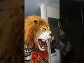 Hyde and Eek Target Lion Mask