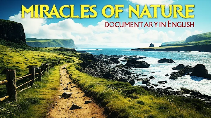 MIRACLES OF NATURE - The Most Unbelievable Wonders of Planet Earth - 天天要闻