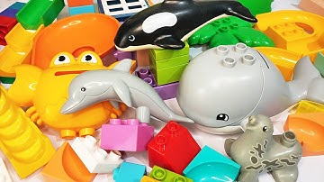 Satisfying Building Blocks ASMR Marble Run block coaster Stairs Winding and Sea ​​animal