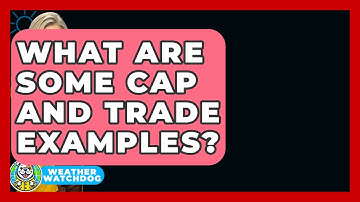 What Are Some Cap And Trade Examples? - Weather Watchdog
