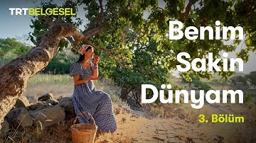 Benim Sakin Dünyam | 3. Bölüm | TRT Belgesel