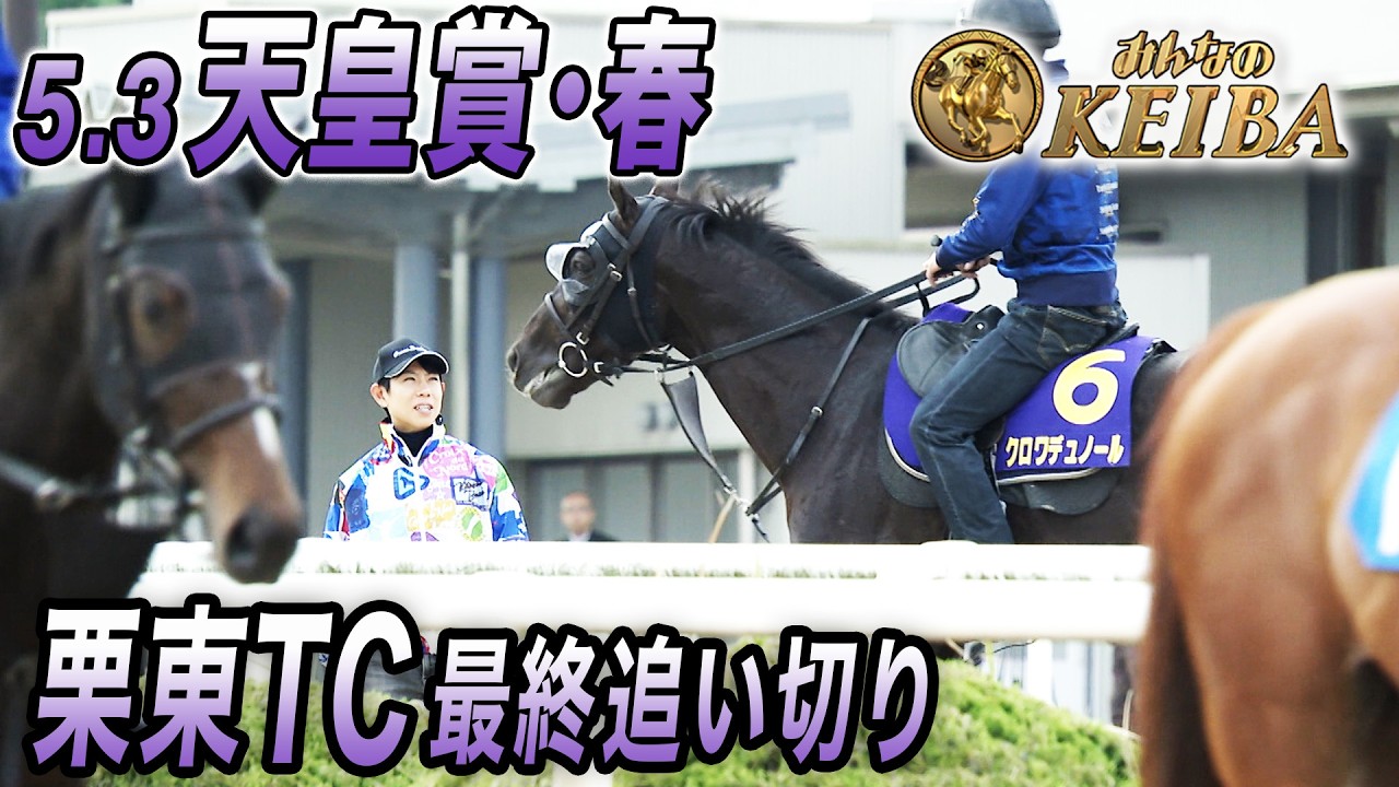 2026年天皇賞（春）・最終追い切り】 現役最強馬 クロワデュノール参戦