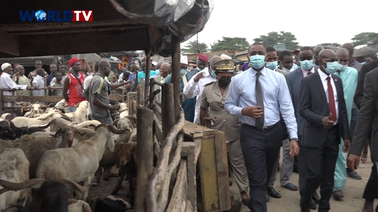 Côte d'Ivoire - TABASKI 2021 : Lancement de la Foire aux Moutons à Abidjan