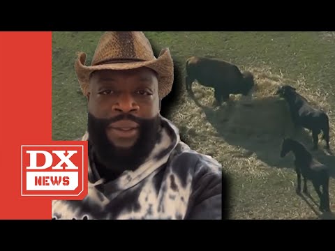 Rick Ross RESPONDS To Neighbor’s Beef Over His Buffaloes Roaming Loose In Their Yards