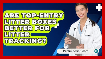 Are Top-entry Litter Boxes Better For Litter Tracking? - PetGuide360.com