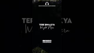 Tum Hi Ho Bollywood Deep House Remix  Aashique 2  Dj Rink Silent Ocean  Aditya Roy K Shraddha K