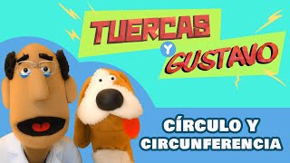 Círculo y circunferencia |  GEOMETRÍA para niños