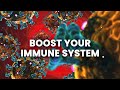 741 hz immune system frequency boost immune system binaural beats