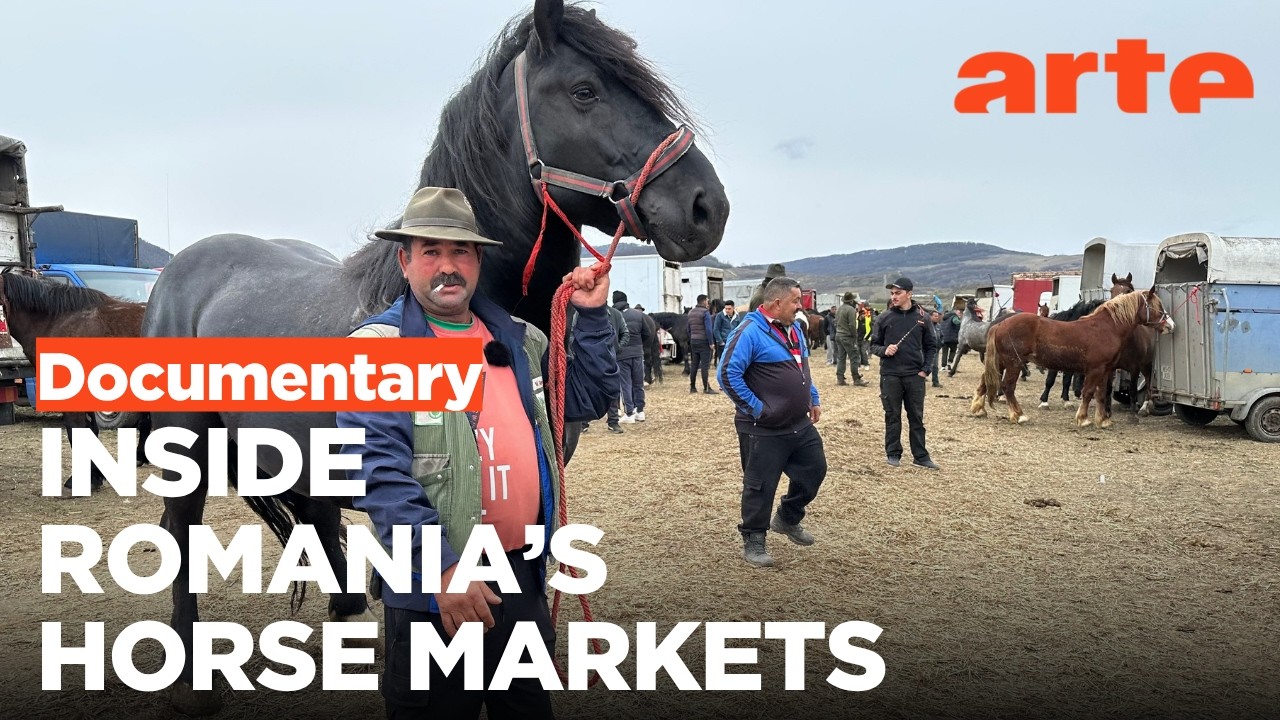 Controversial Horse Markets in Romania