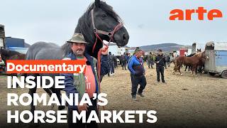 Controversial Horse Markets in Romania | ARTE.tv Documentary