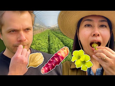 We Ate An Entire Garden Of Rare Fruit