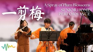 Download Lagu 一剪梅 (A Spray of Plum Blossoms) “XueHuaPiaoPiao\ MP3