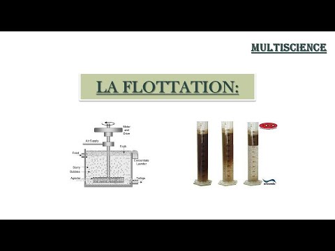 Vidéo: Dans le processus de flottation par mousse, le rôle de l'aniline est le suivant ?