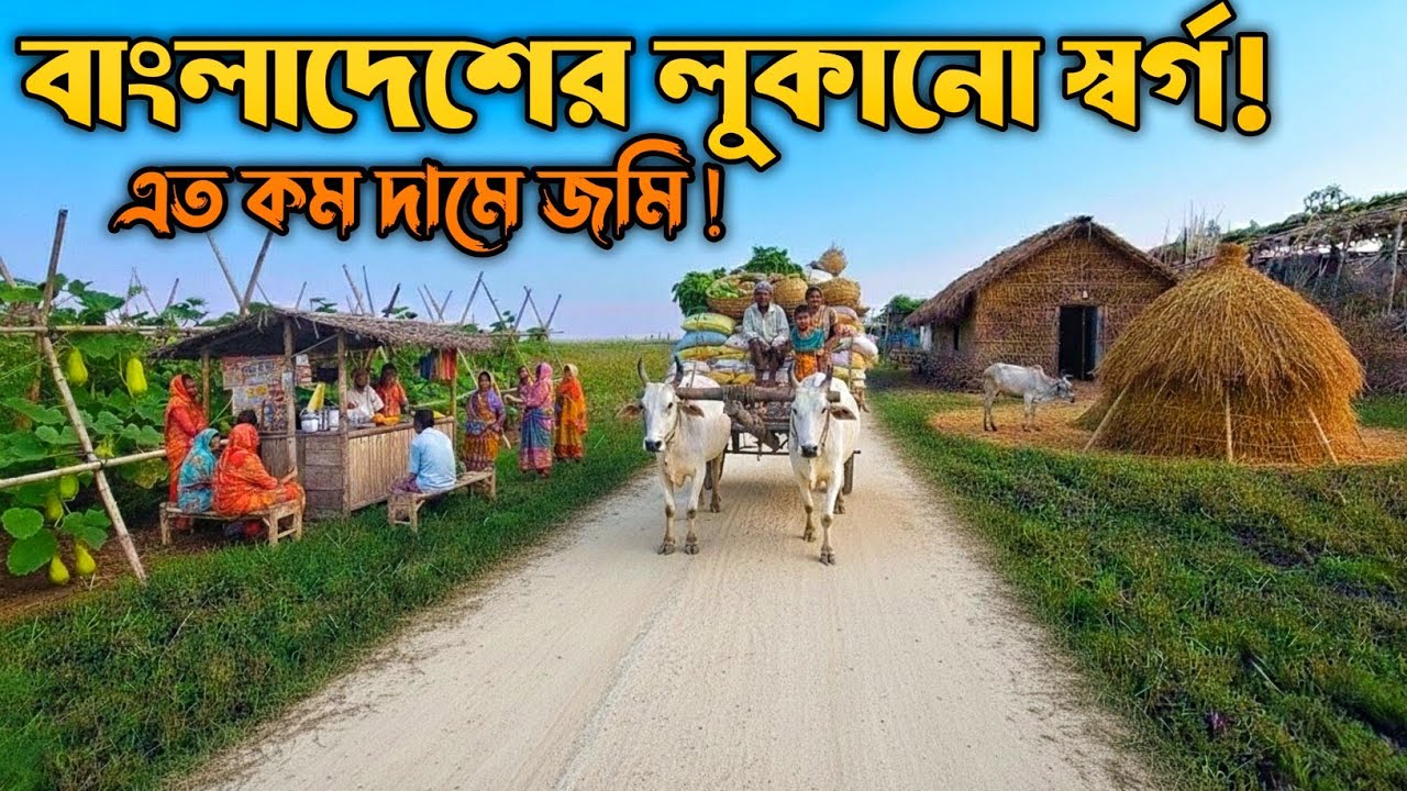 কম দামে জমি, খামারবাড়ি করার অগাধ সম্ভাবনা বাংলাদেশের এক বিস্ময় চর