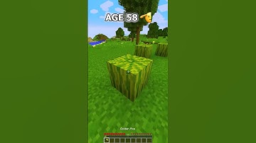 How To Escape Minecraft Traps In Every Age🤯 (World