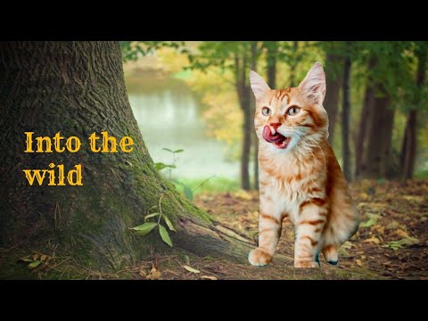 warriors-cats-movie-:-into-the-wild-(trailer)