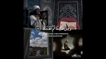 #قران #راحه نفسيه# القارئ هيثم الدخين#