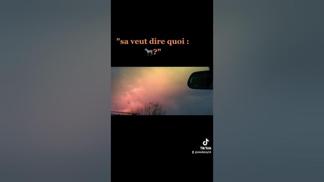 sa veut dire quoi 🦓?.. YouTube