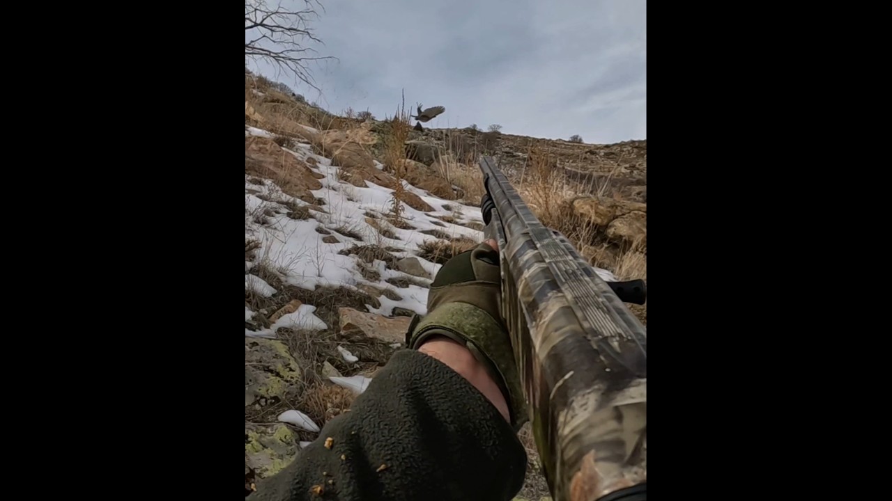 HELİKOPTER GİBİ GİDİYOR🫣 Partridge hunting,охота на куропатку, chasse à la perdrix, صيد الحجل
