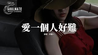 洋瀾一 - 愛一個人好難『想要把你忘記真的好難，思念的痛在我心裡糾纏，朝朝暮暮的期盼 永遠沒有答案。』【動態歌詞MV】