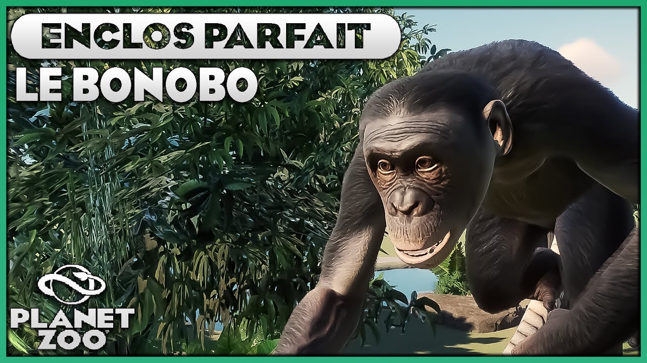 Les Bonobos (Enclos Île) | LES ENCLOS PARFAITS : EPISODE 7 | PLANET ZOO