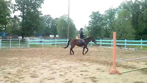 April 19, 2012 6:37 PM