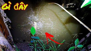 Bó Tay Luôn Cắm Câu Cá Lóc Mà Dính Con Này Đây | HIỆP GÀ VLOG