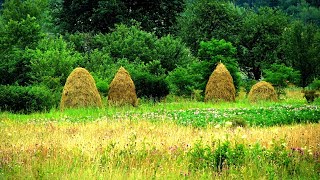 Июль. Детям Про Седьмой Месяц.