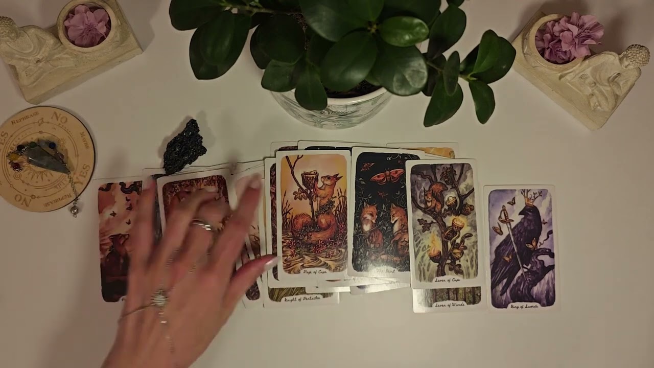 ❤Your Life In 6 Months-Online Tarot Pick a Card Reading❤