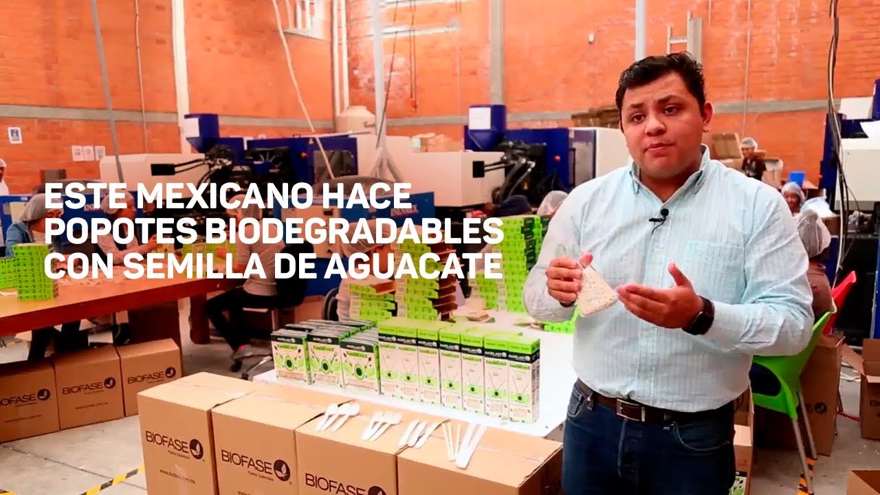 Este mexicano hace popotes biodegradables con semilla de aguacate