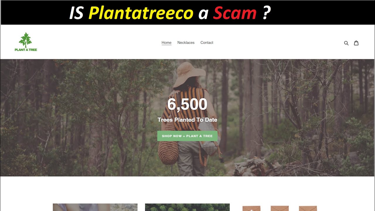 IS Plantatreeco Scam ? :- Watch full details - YouTube
