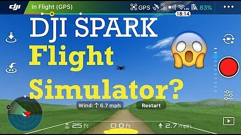 DJI Spark - Flight Simulator | First Time Tutorial