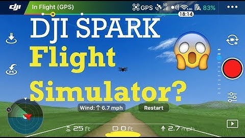 DJI Spark - Flight Simulator | First Time Tutorial