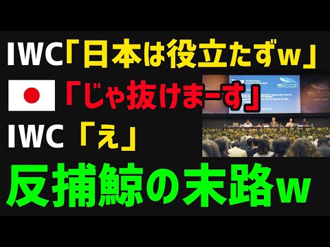 【総集編】日本のIWC脱退から2年・・・好き放題日本を叩いてきた反捕鯨派とIWCの実態の闇が深かったｗｗ【海外の反応】