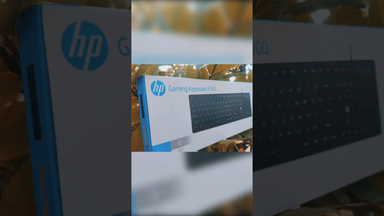 The Best Budget Gaming Keyboard "HP K300 RGB Lighting Showcase" 