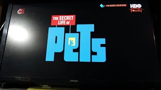 The Secret Life Of Pets 2016 Intro Hbo Family