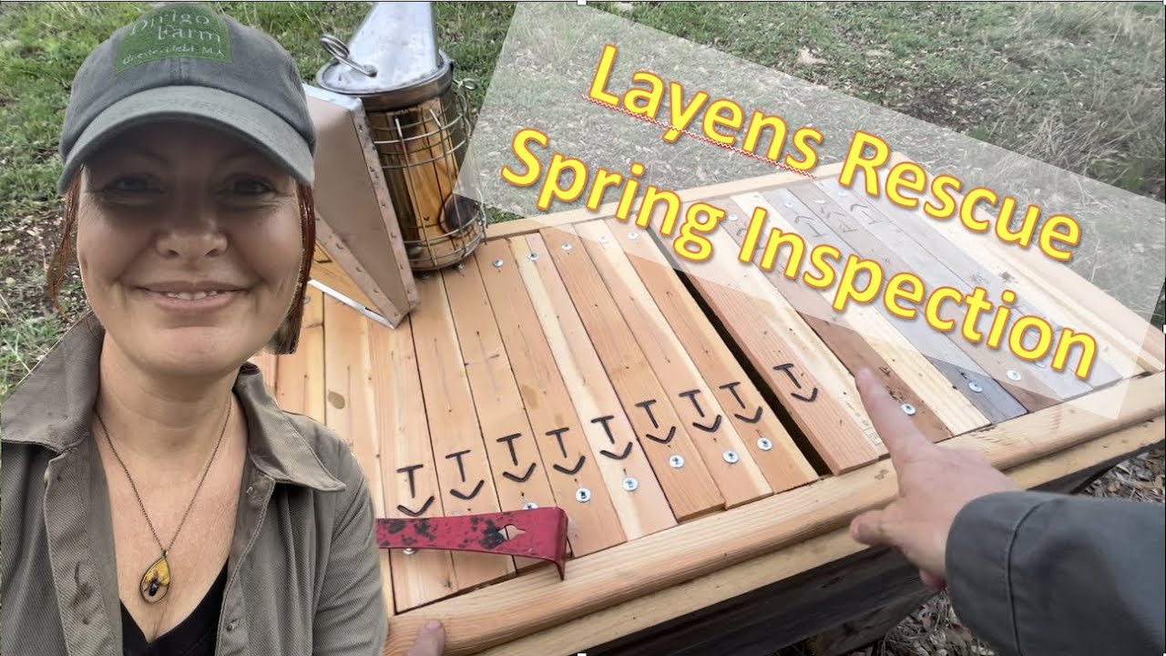 Layens Horizontal Hive - Quick Spring Inspection with Nathalie B.