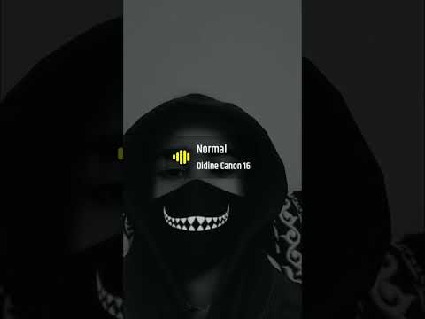 نورمال عيشتها ونورمال 