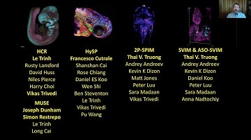 Keynote Presentation: Adding Dimensions to Intravital Imaging