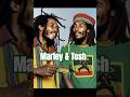 Rift Of The Titans Bob Marley Peter Tosh 