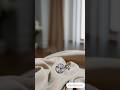 4ct TrueGlow Moissanite†Big Sparkle Small Price 🠎 Looks Just Like A Diamond Turns Heads Instantly 4ct TrueGlow Moissanite†Big Sparkle Small Price 🠎 Looks Just Like A Diamond Turns Heads Instantly