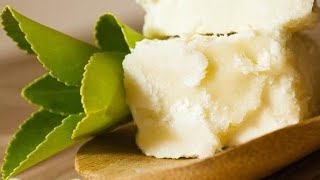 زبدة الشيا فوائدها وأضرارها واستخدامتها الأخرى shea butter