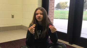 Integer chips by Cadance class period 1-2021