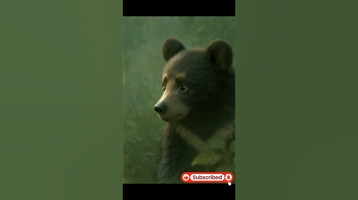 Rescue Mother Asiatic Black Bear Ep 2 (First Encounter - Advice from Jirisan Gorani)